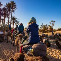 Camel ride in agadir