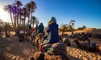 Camel ride in agadir