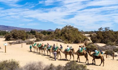 Camel Ride Agadir