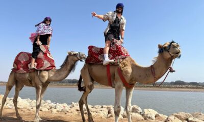 Camel Ride Agadir with tea and cakes