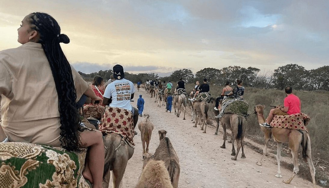 Agadir Camel Riding