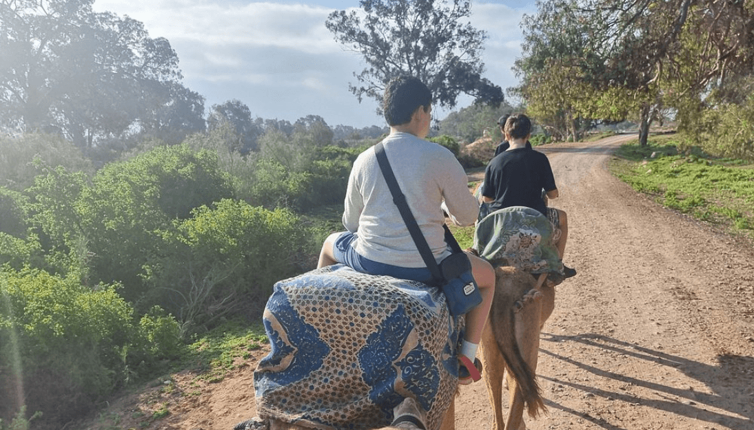 Agadir Camel Riding