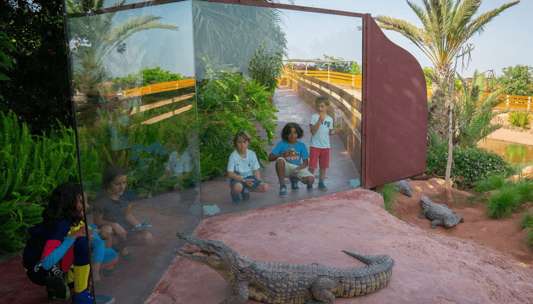 Crocodile Park Agadir