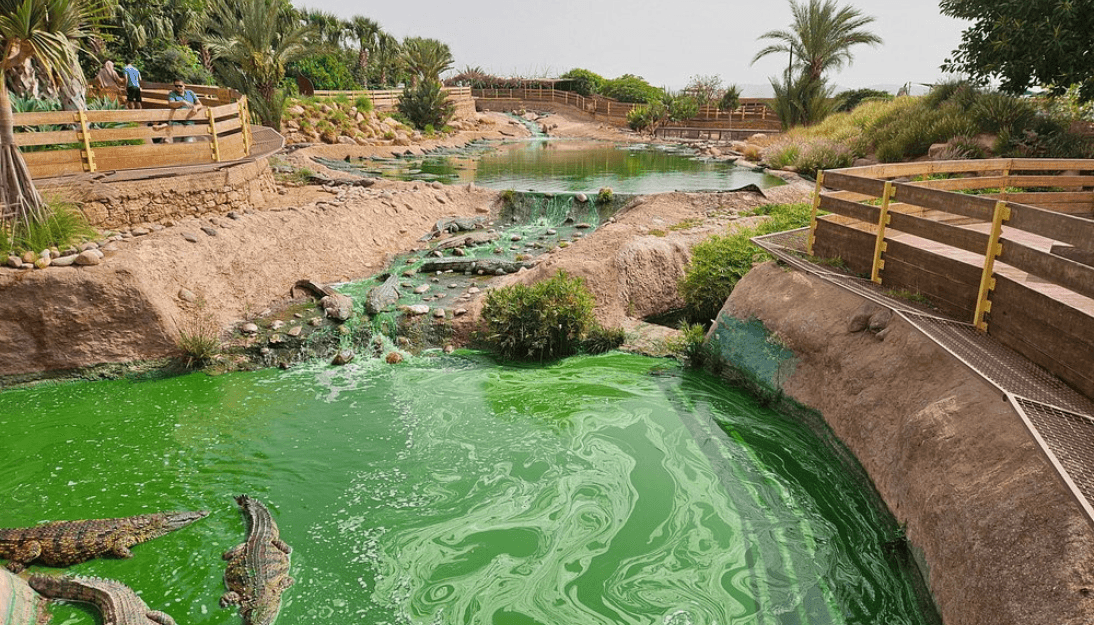  Crocodile Park Agadir