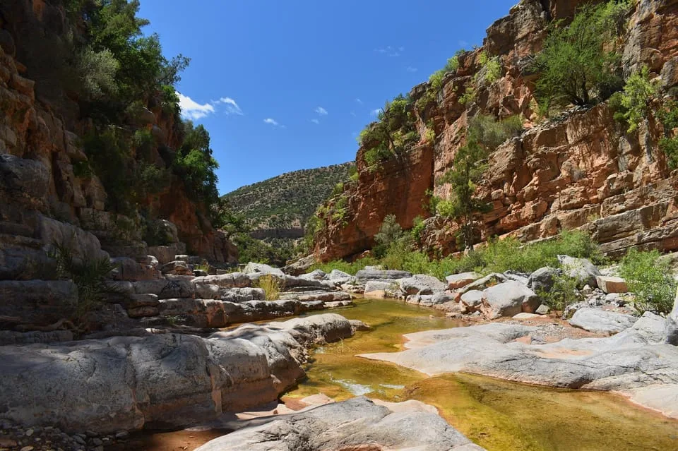Paradise  valley