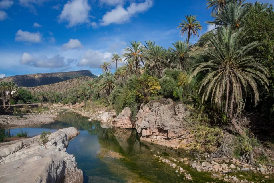 Paradise Valley  Agadir Half Day