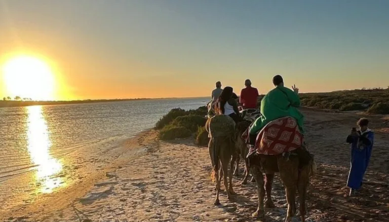 Sunset Camel Ride in agadir city