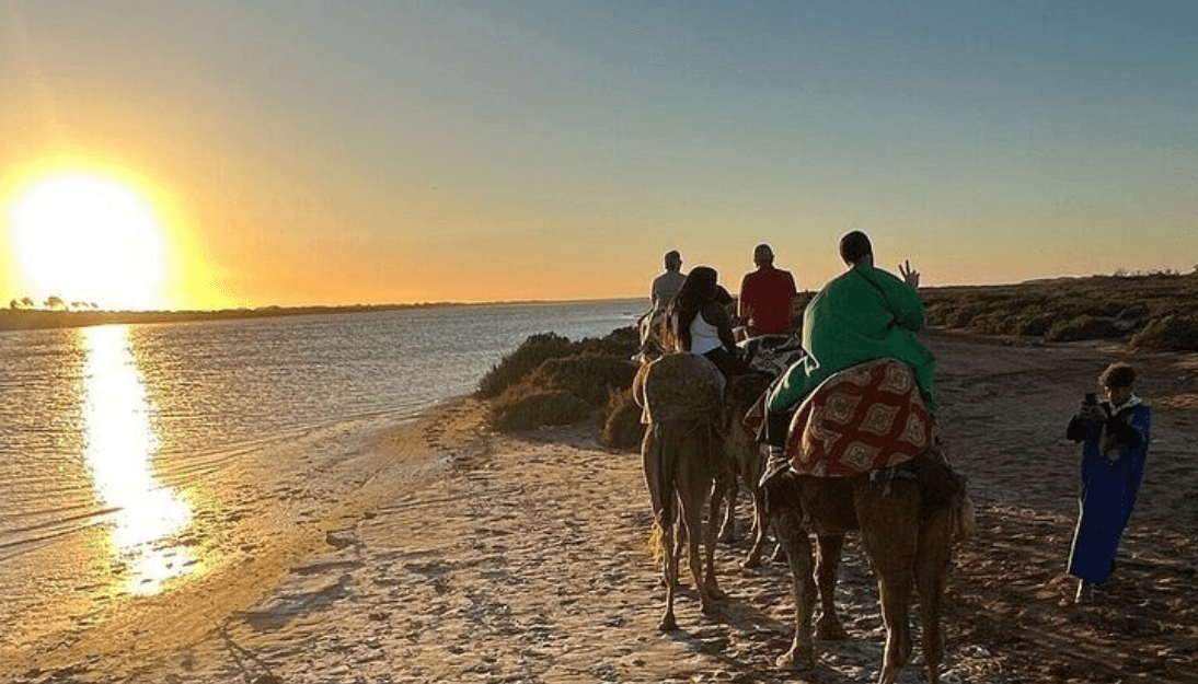  Camel Ride Agadir